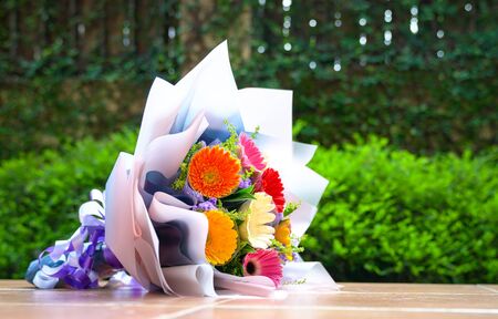 Bouquet of gerbera daisy flowers for special occasionの写真素材