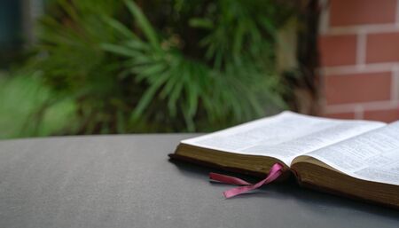 Open bible on black table.  Palm leaves in the background. Soft focus, blur text. Space for text.