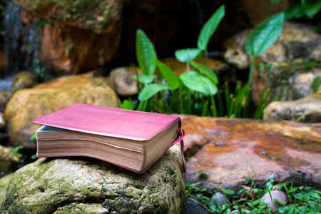 Bible with leather cover on top of a stone next to a pond. Refreshing Word of God.の写真素材