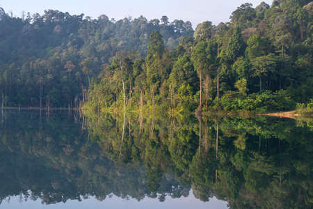Beautiful tropical forest and reflection on lake.