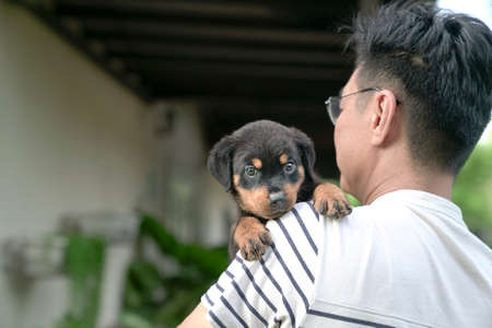 Cute puppy dog rest its head on the shoulder of adult man. Looking at camera.の写真素材