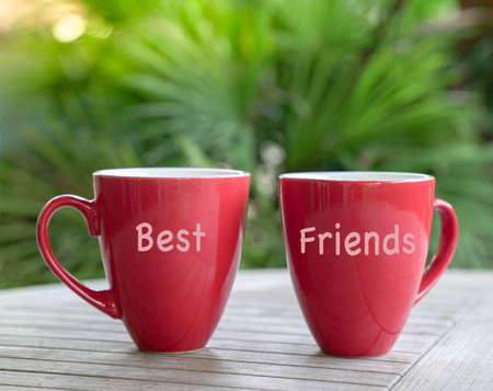 Two red cups with words Best Friends. Friendship Day message.の写真素材