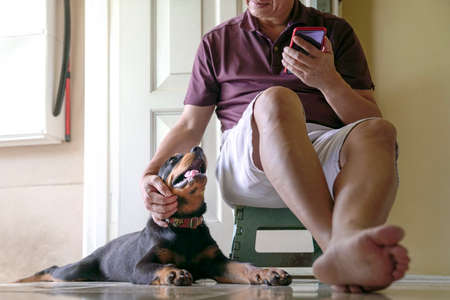Man stroking the head of his dog while reading on his smartphone. Indoor or stay at home concept.の写真素材