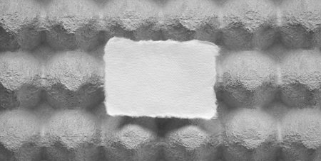 Torn blank paper on top of cardboard egg tray. Copy space.の写真素材