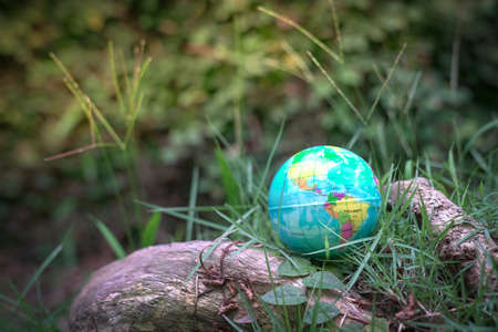 Globe planet earth in the nature surroundings. Environment and conservation concept.の写真素材