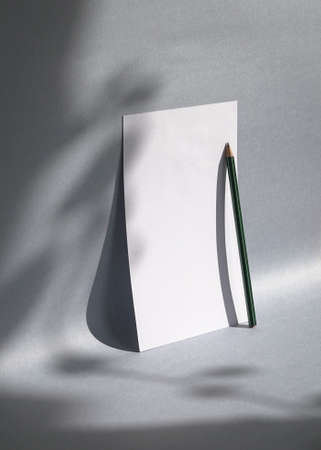 Blank white card or note with foliage shadow, on gray background, with a pencil. Minimalist mock-up template.の写真素材