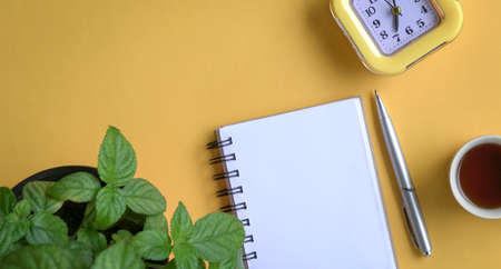 Flat lay of notepad, clock, coffee and plant on yellow tabletop. Copy space.の写真素材
