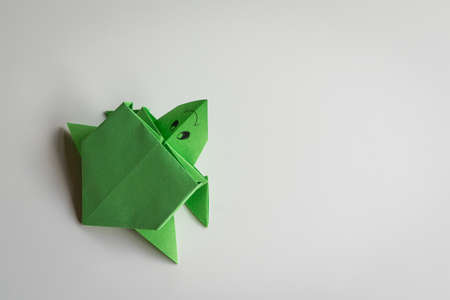 Green sea turtle origami, isolated on white background. Copy space.の写真素材