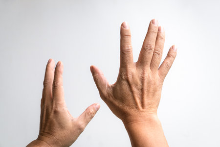 Pair of hands reaching up against white background.の写真素材