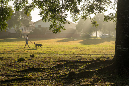 Man walking with dog on the field with lovely morning sunlight. Copy space.の写真素材