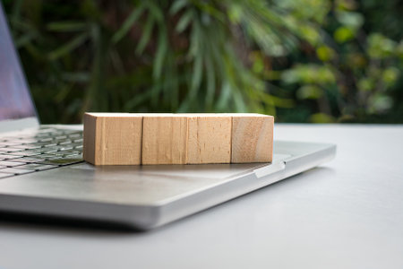 Four blank wood square toy blocks on top of computer laptop, with palm tree background.