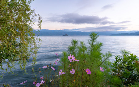 Beautiful Lugu Lake in the morning. Yunnan province, China.の写真素材