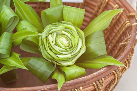 Green pandanus leaves or fragrant pandan are folded into a bouquet of roses, is a beautiful...