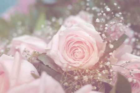Bouquet of beautiful pink roses.selective focus.の写真素材