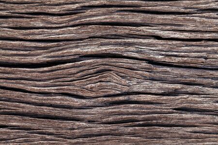 wood old texture, background