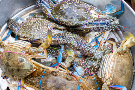 Blue Crabs in stainless Pot waiting for steaming, it is a easy homemade cooking. thailandの写真素材