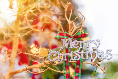 Christmas Tree, Christmas Decoration With the letter Merry Christmas.