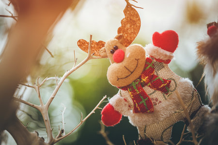 Christmas Tree Holiday Ornament Hanging from a  Branch Isolated