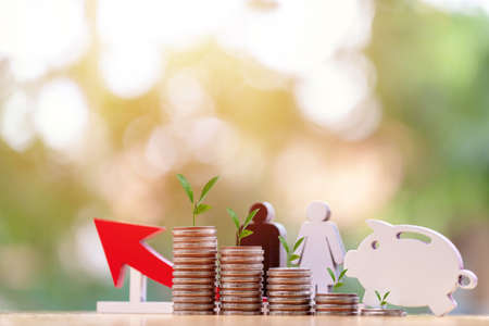 wooden  Piggy  in close-up and leaf on coins stack in the natural background, Saving ideas and investment budget, Business saving money concept, Copy spaceの写真素材
