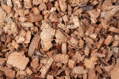 background of coconut fiber husks used for potting soil mix for plants or terrarium grounds