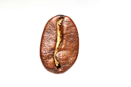 Roasted coffee beans, Brown coffee texture for white backgroundの写真素材
