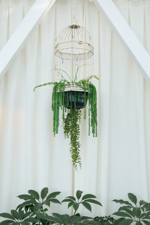 bird houseの写真素材