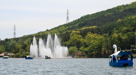 duck boats in the pond of the parkの写真素材