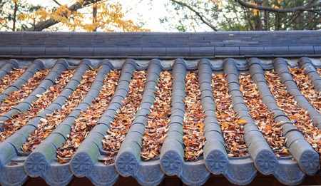 fallen leaves on the Korean traditional tiled roofの写真素材