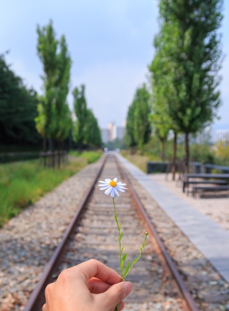 hand holding flower on the railway in Seoul, Koreaの写真素材