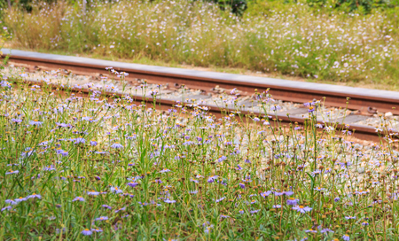 landscpae of old railway park in Seoul, Koreaの写真素材
