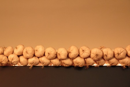 garlic lined up on the shelfの写真素材
