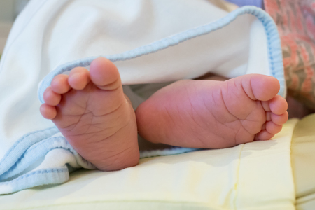 close up of newborn baby feetの写真素材