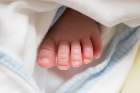 close up of newborn baby feetの写真素材