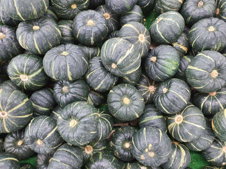 Pumpkin at retail shop in Koreaの写真素材