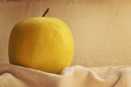 Yellow ripe apple on white textured cloth, close-up.の写真素材