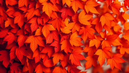 Autumn leaves background. Autumn leaves background. Autumn leaves background.の素材