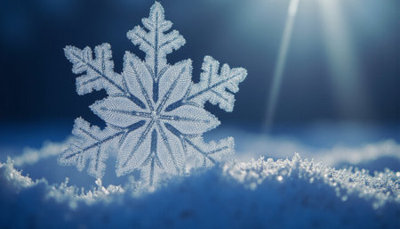 Snowflake on snow background. Christmas and New Year holidays concept.の素材