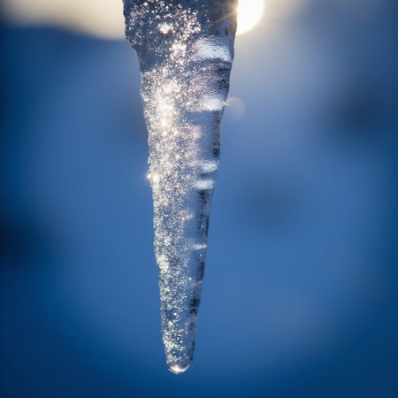 Icicles in the winter forest. Close-up. Shallow depth of field.の素材