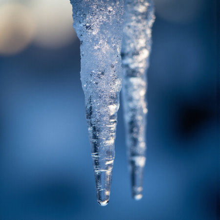 Icicles on a frozen lake in the winter. Shallow depth of fieldの素材