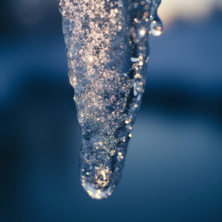 Icicles on the frozen lake in the winter. Macro.の素材