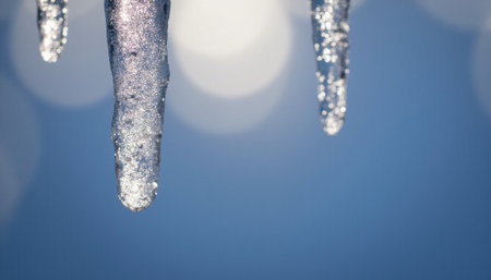 Icicles on blue background. Winter background with icicles.の素材