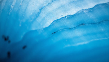 Macro shot of a slice of fresh blue onion with water dropsの素材