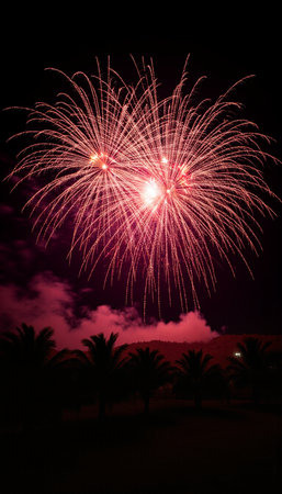 Colorful fireworks in the night sky over palm trees and sea.の素材