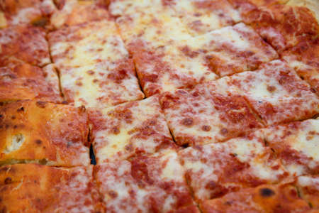 Mozzarella pizza slices