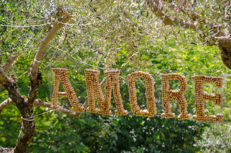 Wedding decoration hanging on olive trees  made from wine corks spelling amore Amore Umbria, Italy.の写真素材