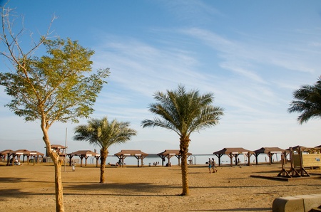 Izrail.Oazis in the Judean Desert near the Dead Sea.のeditorial素材