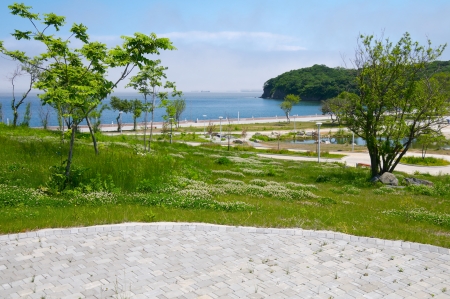 Campus FEFU about  Russian  Lanshaftny-park area のeditorial素材