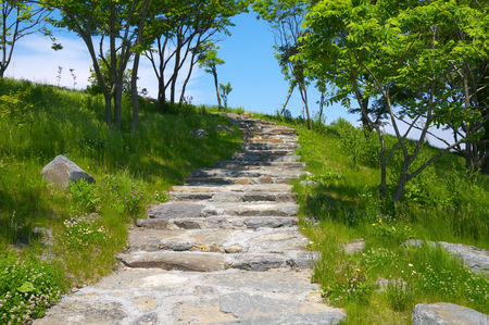 Campus FEFU about  Russian  Lanshaftny-park area  A stone path のeditorial素材
