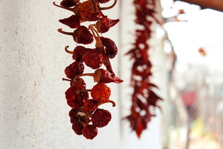Red Hot Chili Peppers Hanging on the Wall.の写真素材