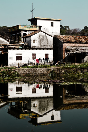Dongguan Chashan cattle over Meng Villageの写真素材